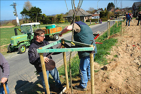 Das Pflanzen der Baumallee zwischen Breidt und Deesem am 20. April 2013