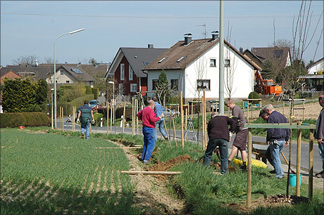 Das Pflanzen der Baumallee zwischen Breidt und Deesem am 20. April 2013