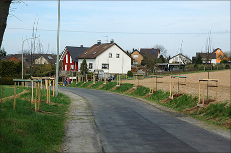 Das Pflanzen der Baumallee zwischen Breidt und Deesem am 20. April 2013