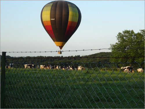 Ein Heißluftballon landet in Deesem