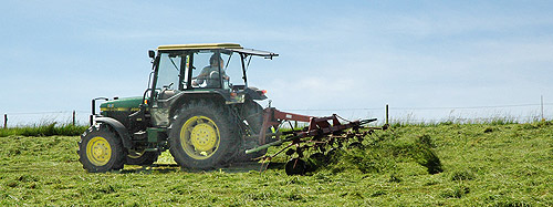 Landwirtschaft in Deesem