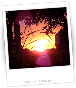 Polaroidfoto von Deesem