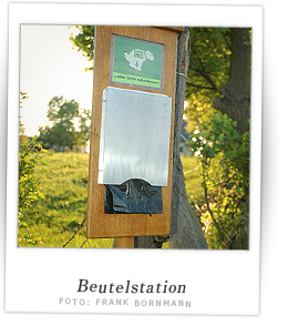 Polaroidfoto Hundekotbeutelstation Deesem