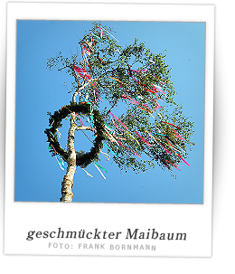 Polaroidfoto Maibaum von Deesem