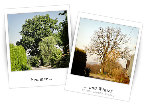 Sommer und Winter in Deesem