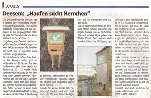 Der Artikel der Aktion im Stadtecho